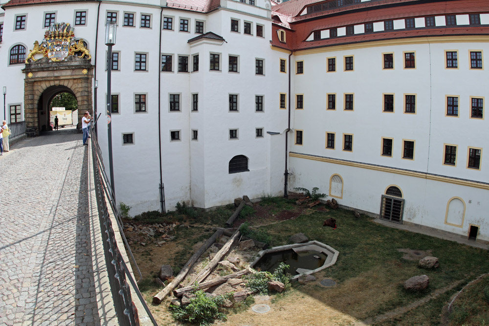 Schloss Torgau Sachsen