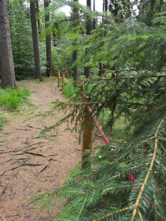 Tharandter Wald bei Dresden: Waldbaden mit Kindern 14 Tharandter Wald Sinnespfad