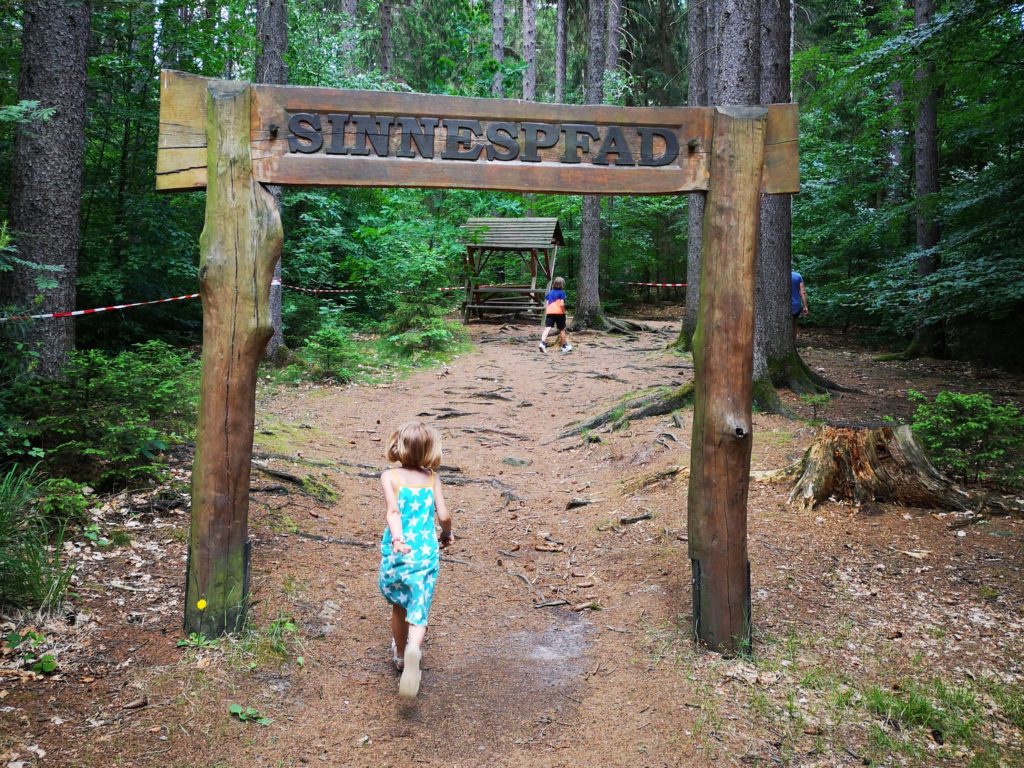 Tharandter Wald bei Dresden: Waldbaden mit Kindern 13 Tharandter Wald Abenteuerpfad