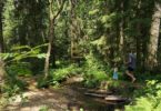 Tharandter Wald Abenteuerpfad