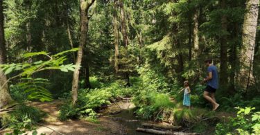 Tharandter Wald Abenteuerpfad