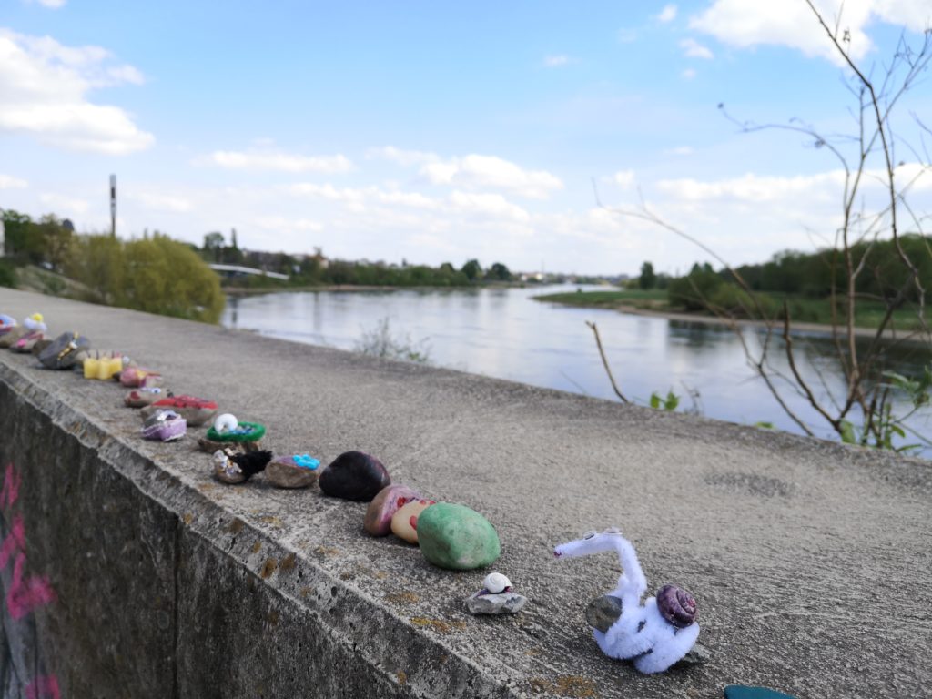 Elberadweg Dresden