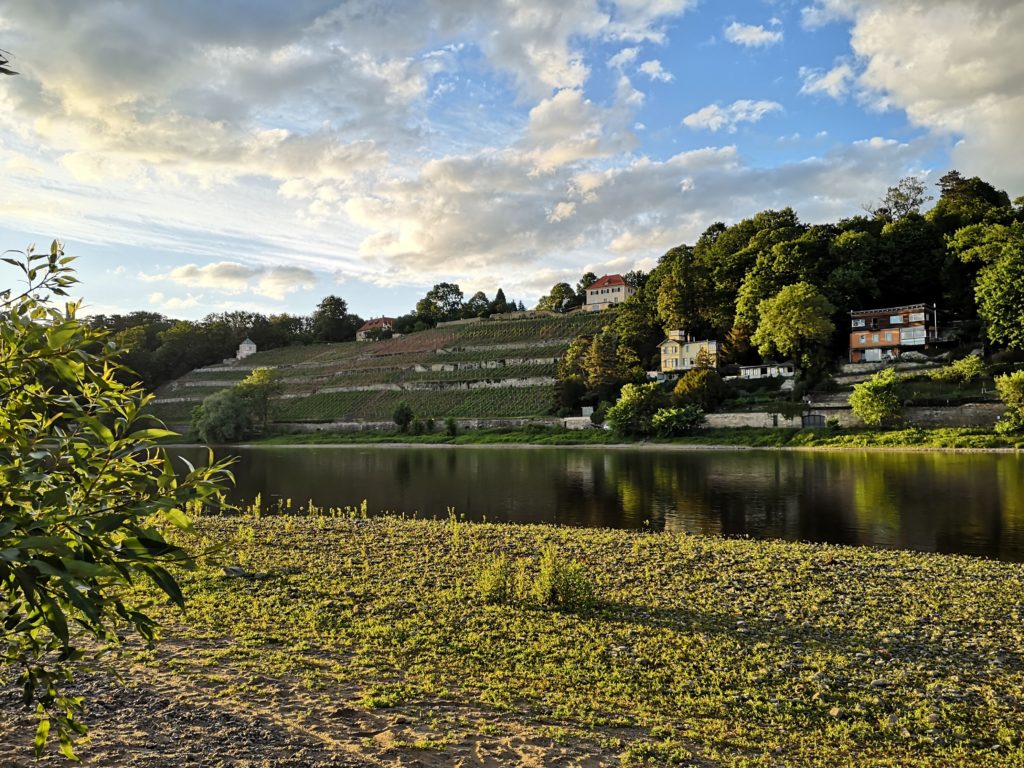 Elberadweg Dresden