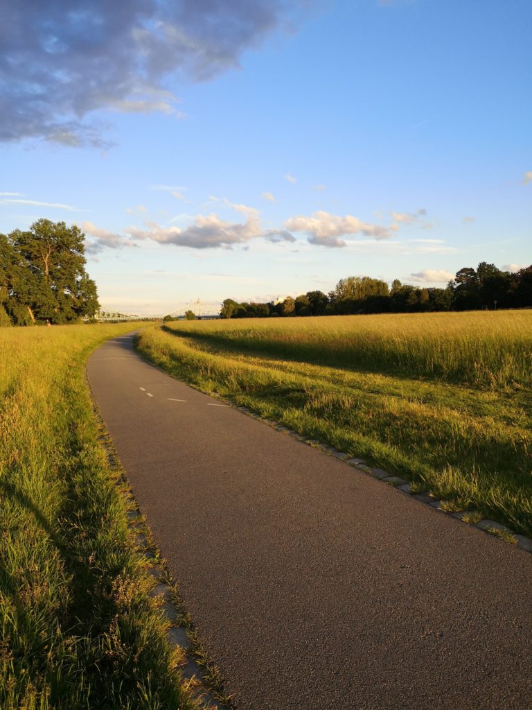 3 Radtouren auf dem Elberadweg in Dresden, die jedes Kind schafft 4