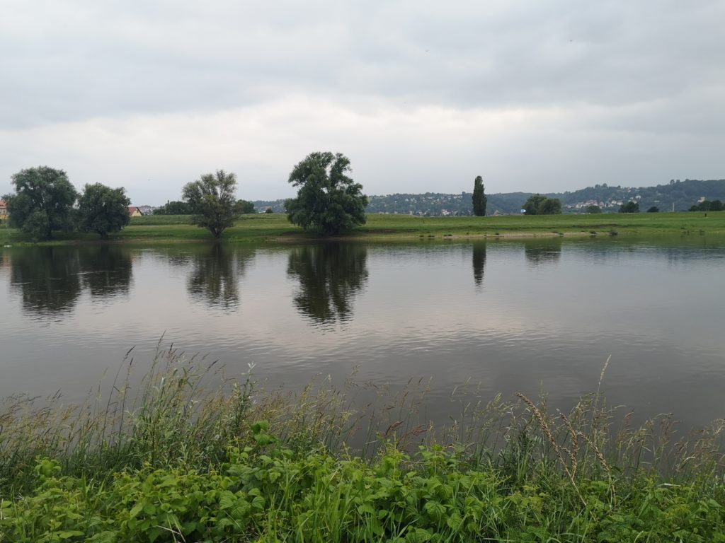 Elberadweg Dresden