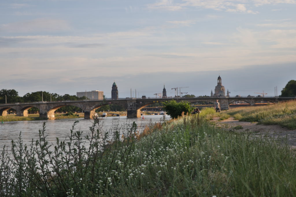 Elberadweg Dresden