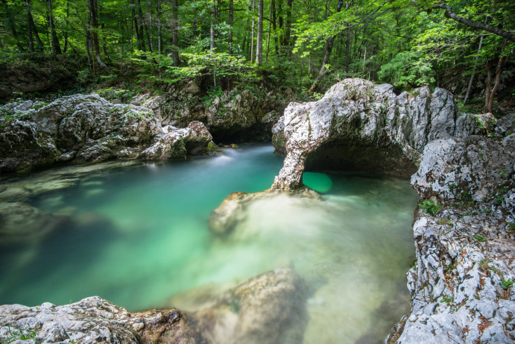 Elefant Mostnica-Klamm