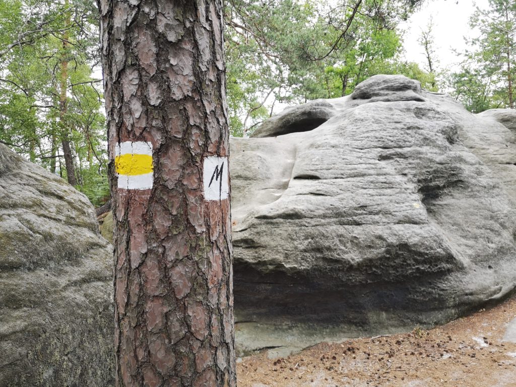 Rauenstein Wanderung Rathen Malerweg