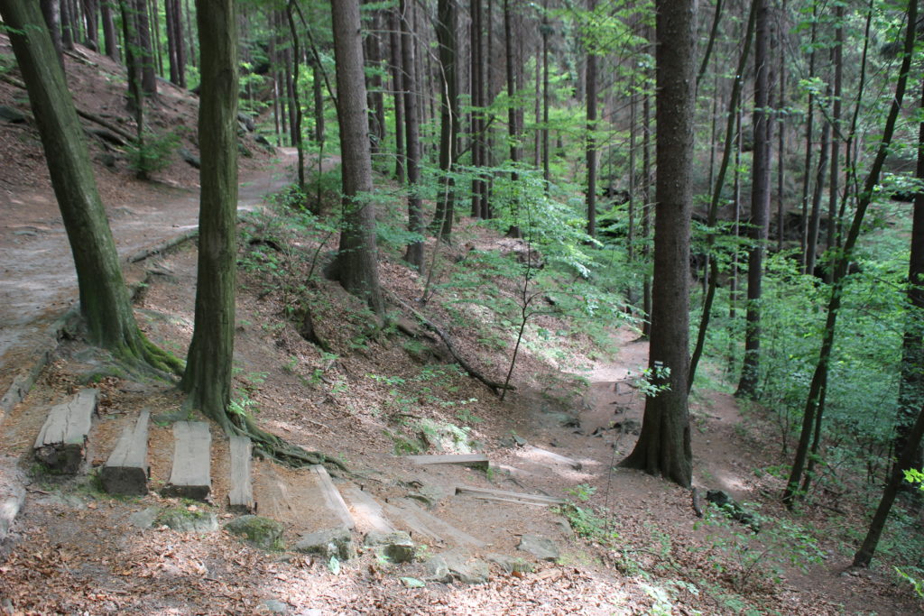 Gautschgrotte Hohnstein