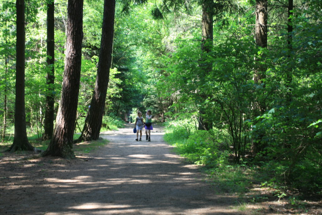 Rauenstein Wanderung Rathen