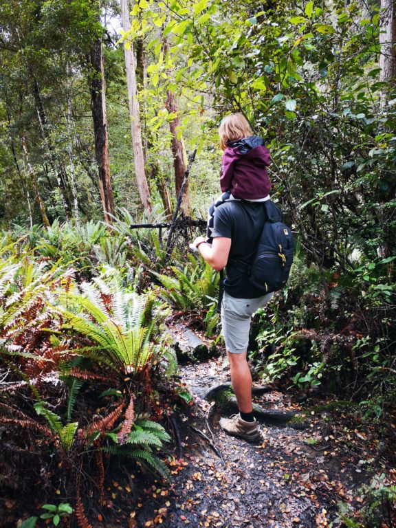 Buller Gorge Adventure Park