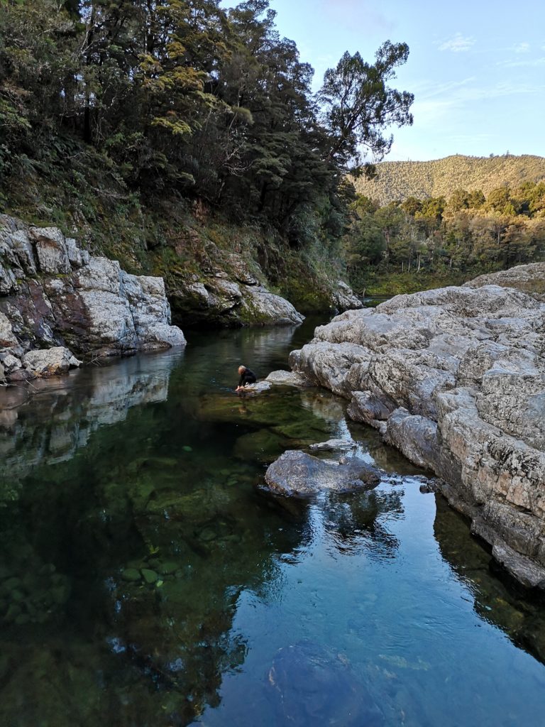 Pelorus River