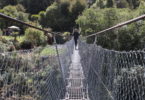 Buller Gorge Adventure Park