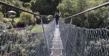 Buller Gorge Adventure Park