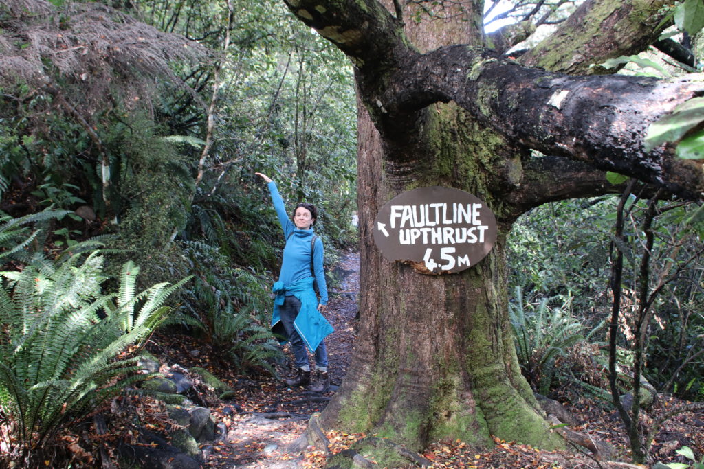 Buller Gorge Fault Line