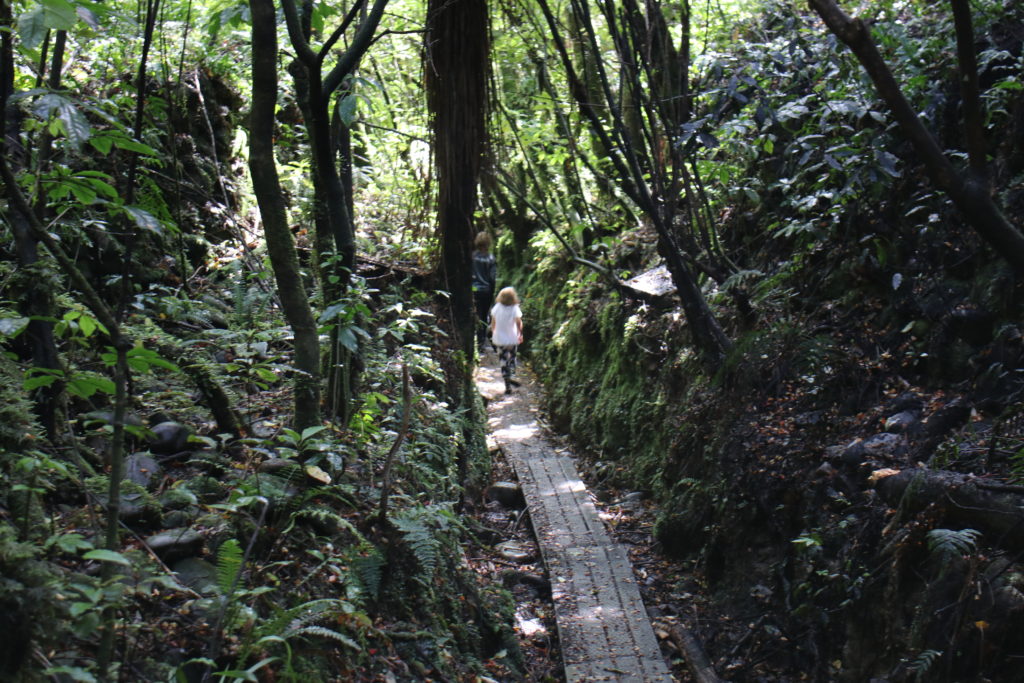 Buller Gorge Adventure Park