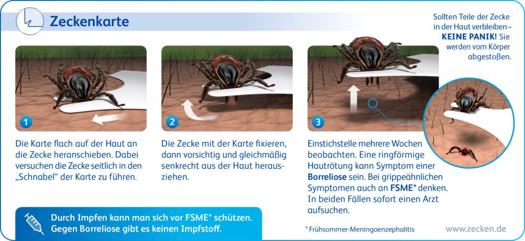 Zecke entfernen Zeckenkarte