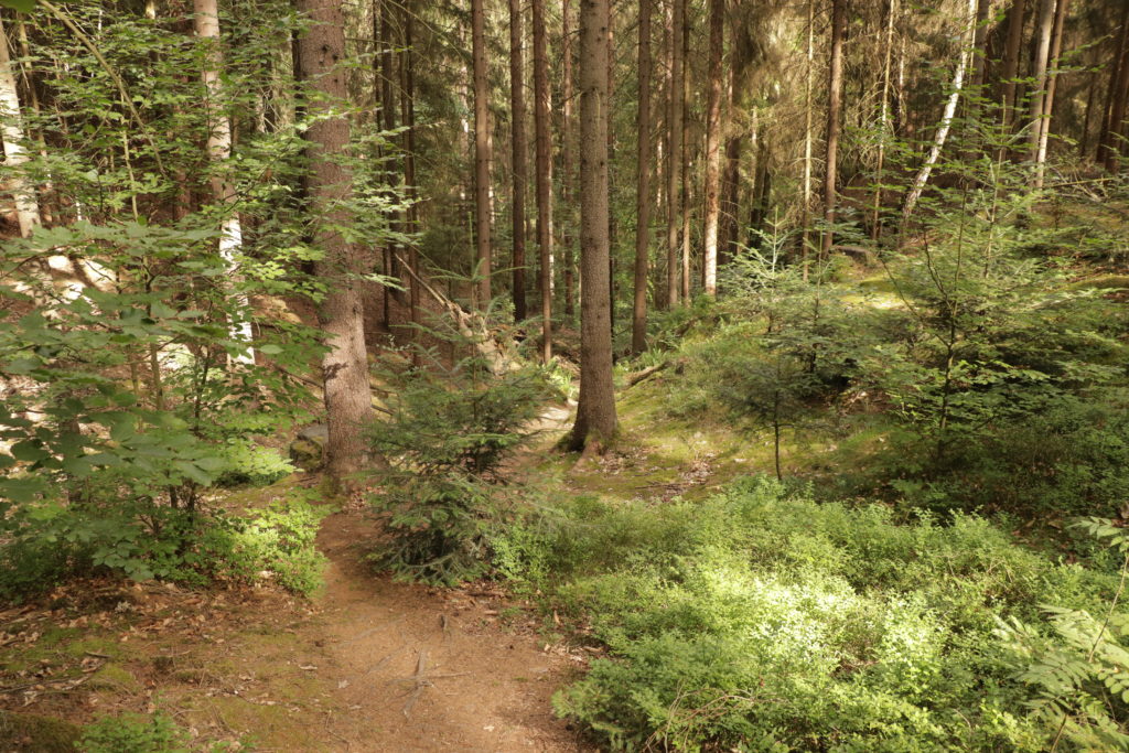 Malerweg Uttewalder Grund