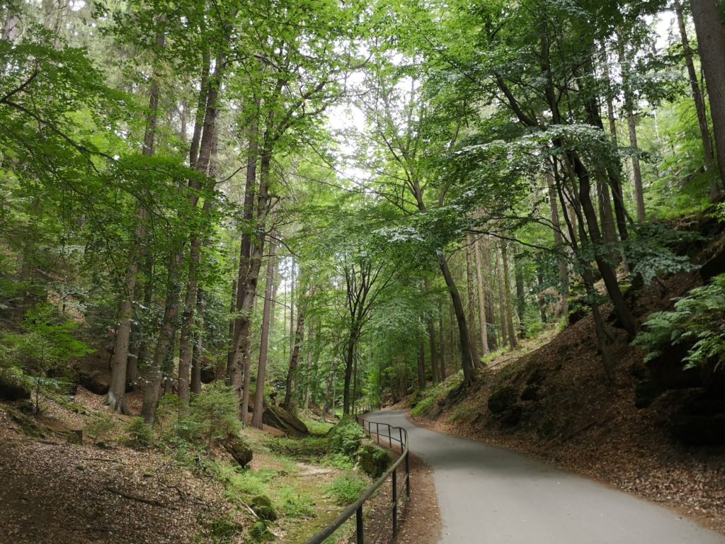 Malerweg Uttewalder Grund