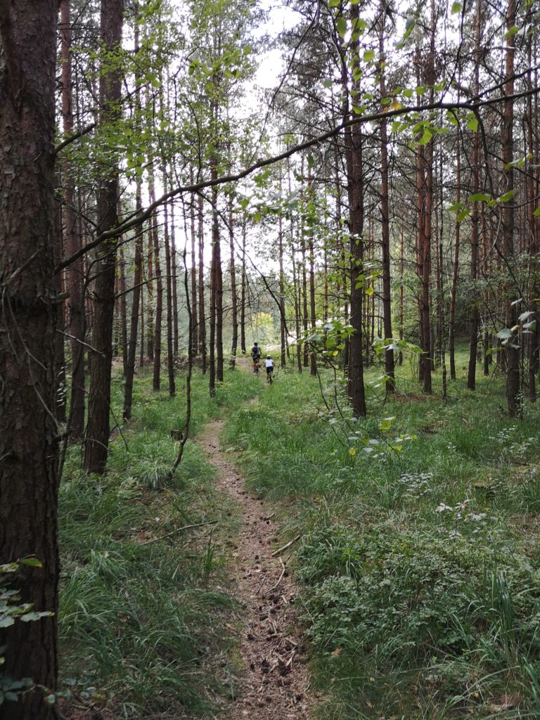 Dresdner Heide Sanddüne