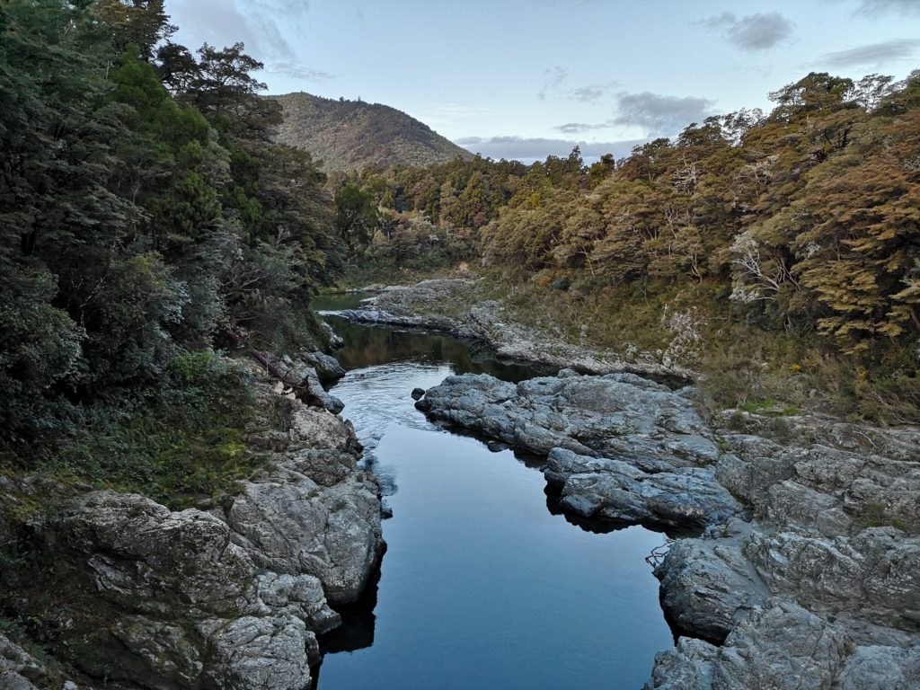 Pelorus Bridge