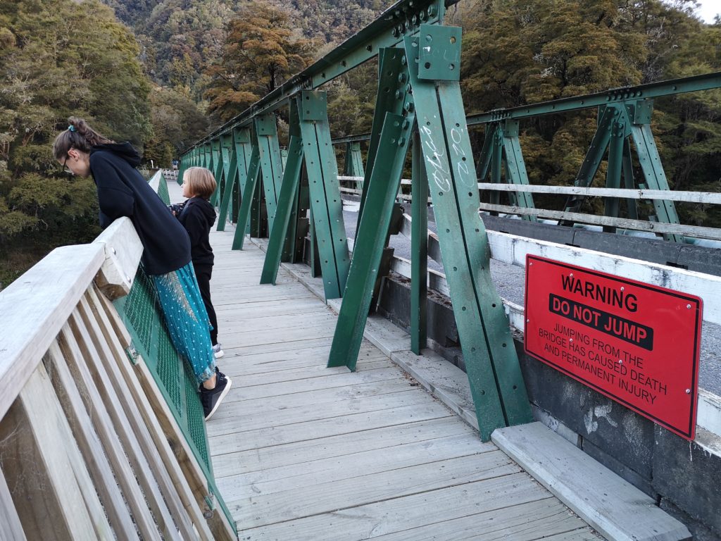 Pelorus Bridge