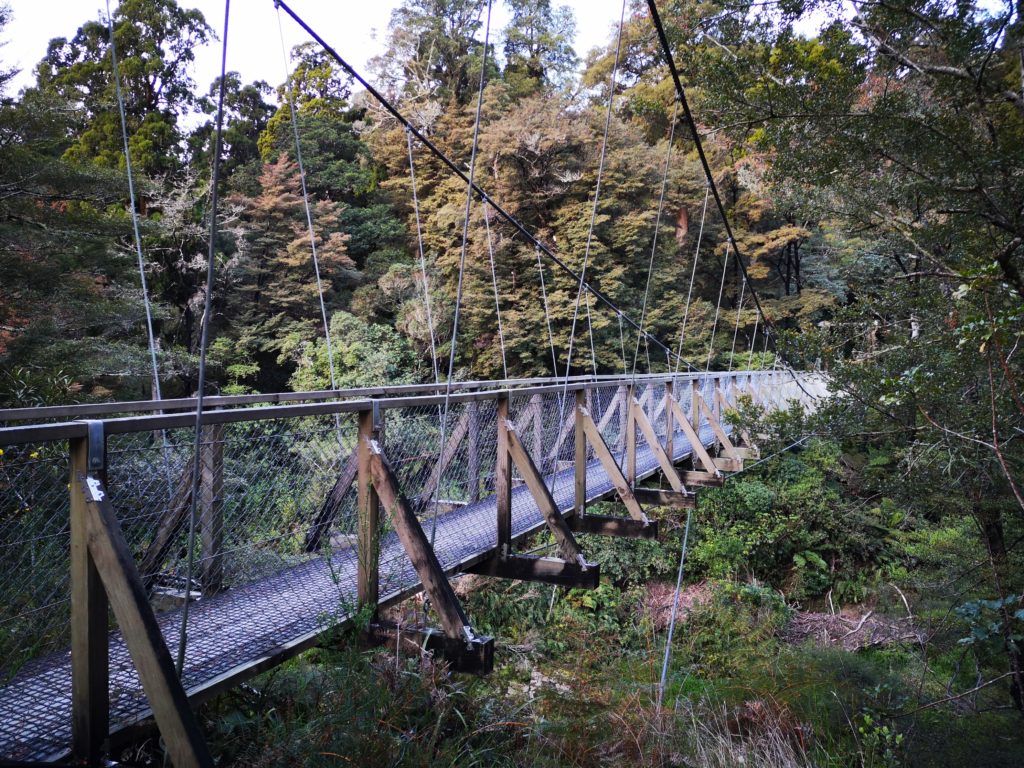 Pelorus Bridge Reserve