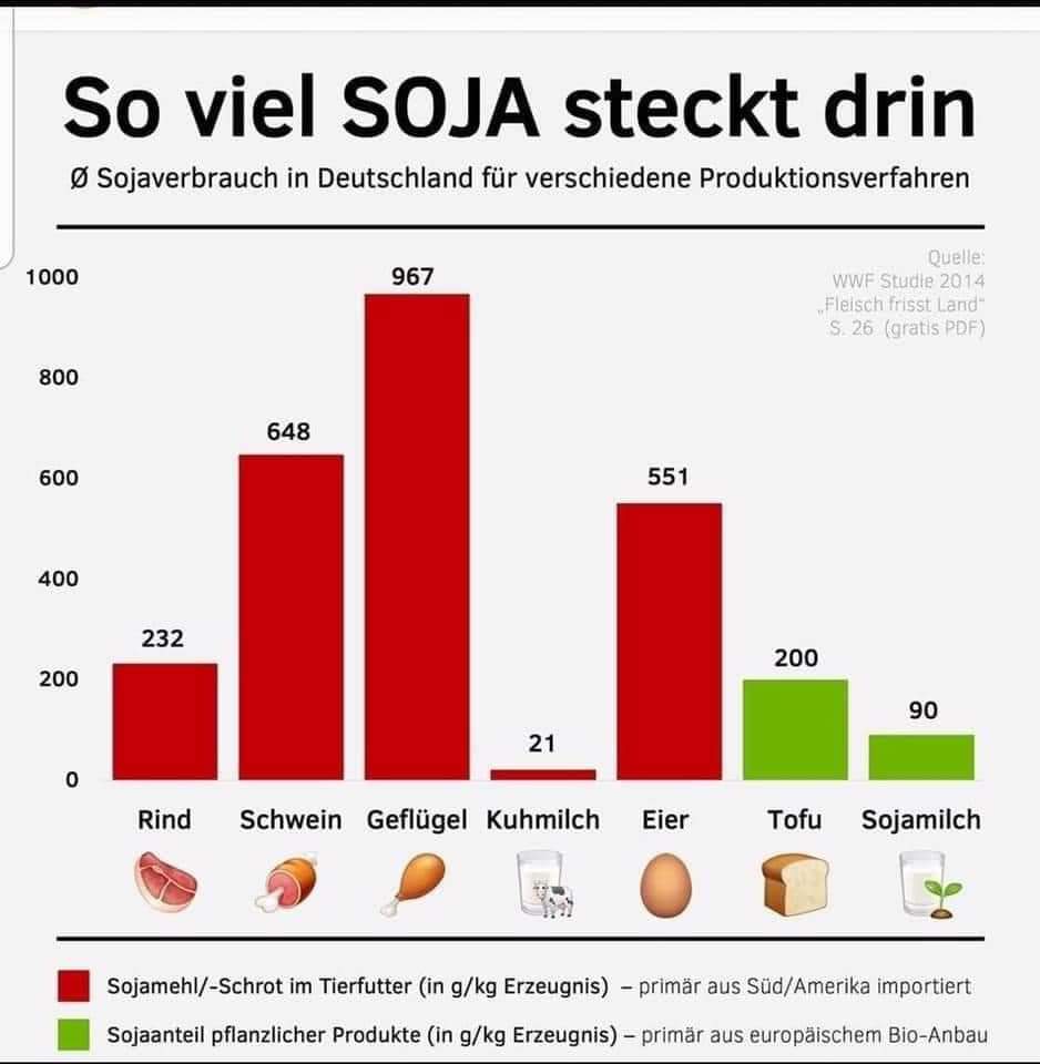 Soja Statistik