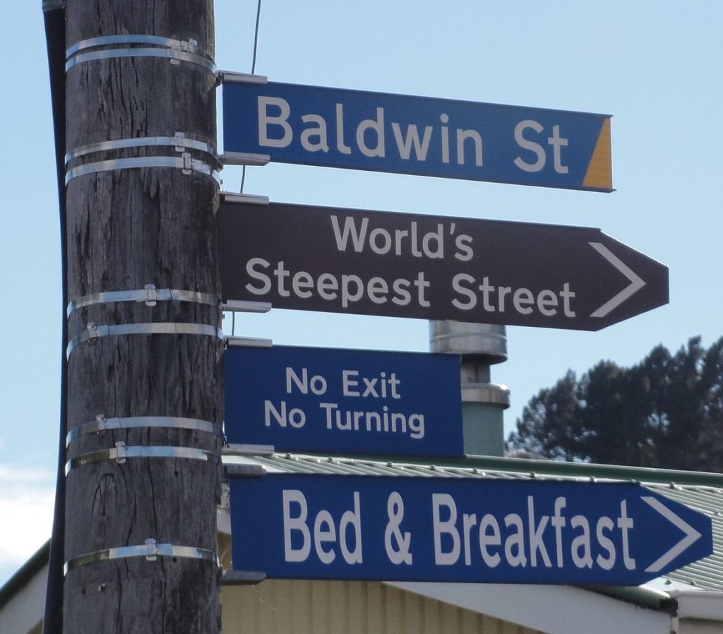 Baldwin Street in Dunedin