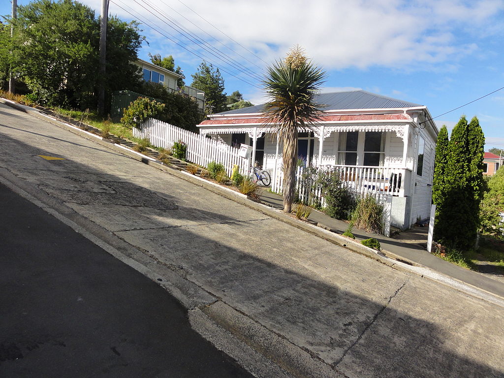 Baldwin Street Dunedin