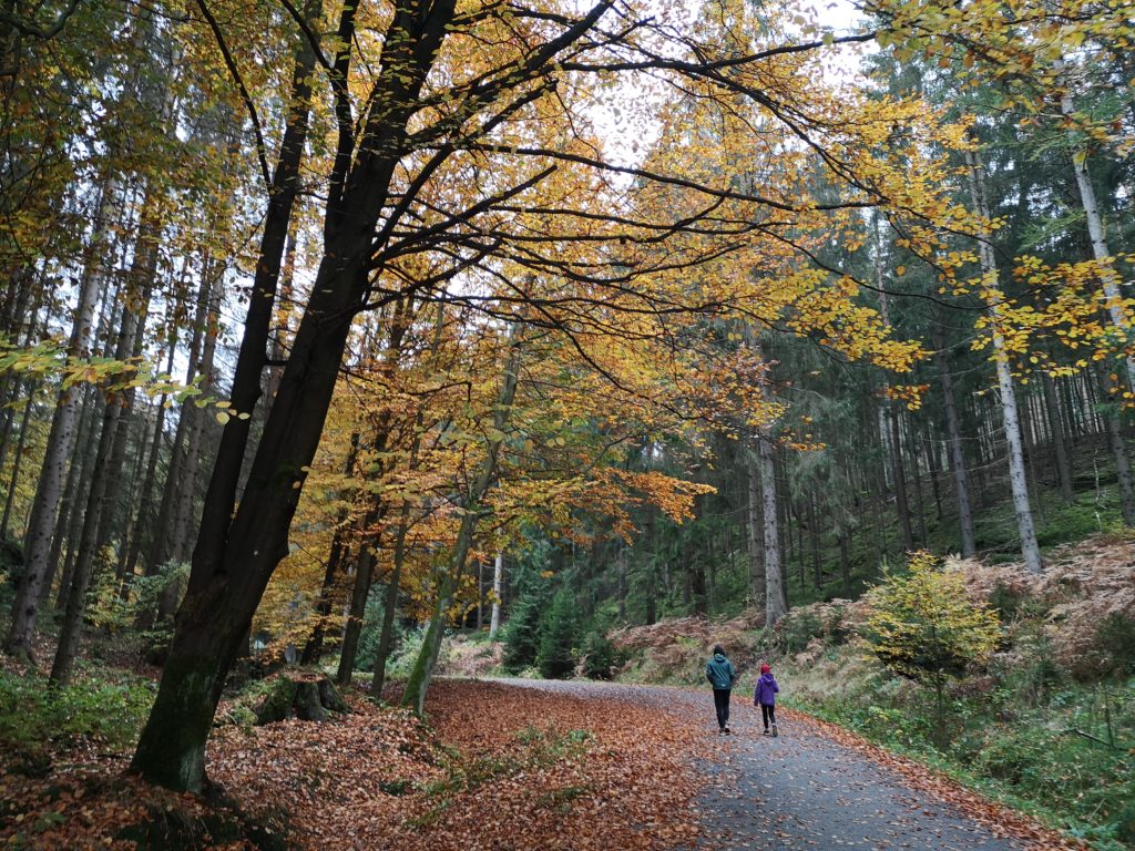 Kirnitzschtal Beuthenfall