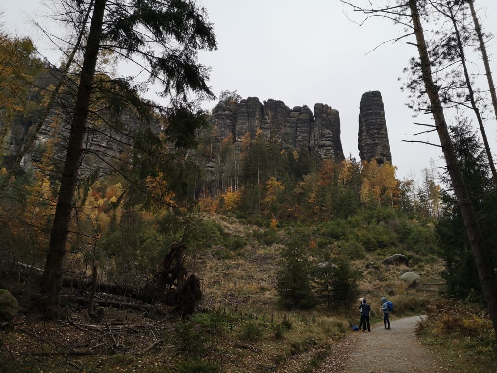 Wilde Hölle Brosinnadel