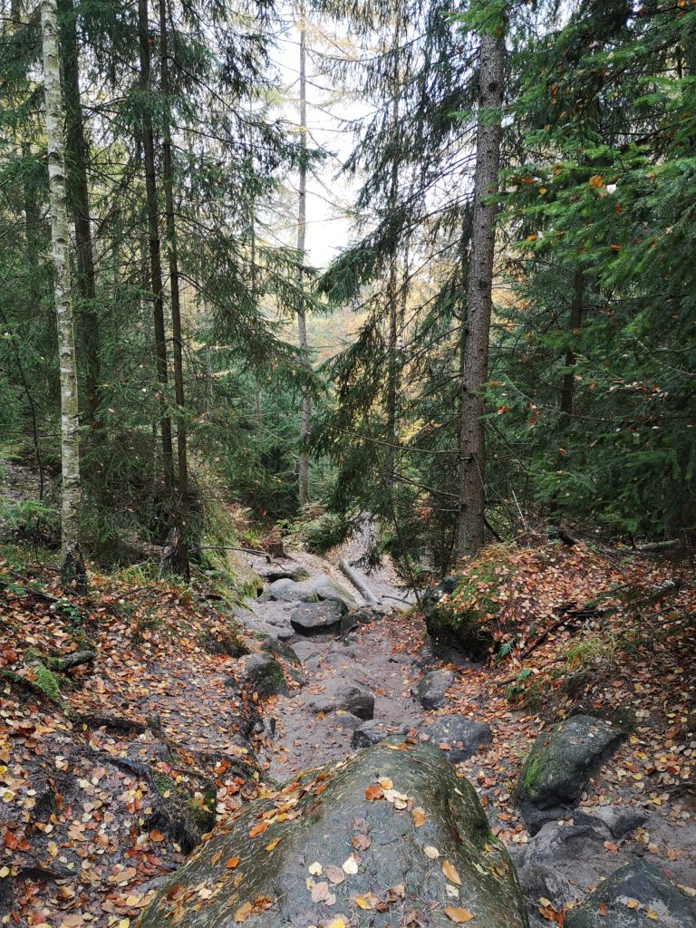 Wilde Hölle Kirnitzschtal