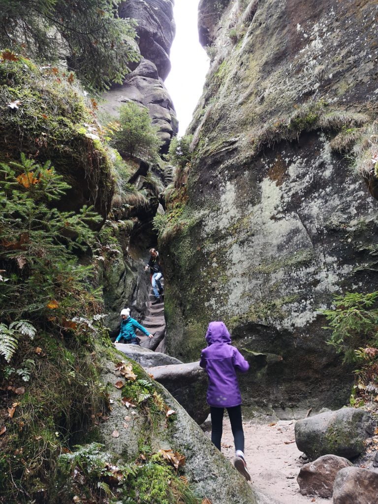 Wilde Hölle Kirnitzschtal