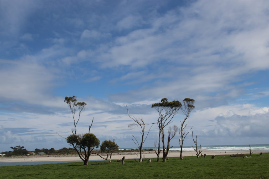 Westcoast Mokihinui