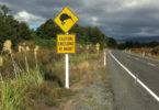 Tongariro National Park Kiwi Schild