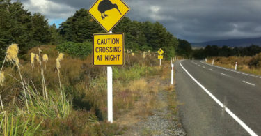 Tongariro National Park Kiwi Schild
