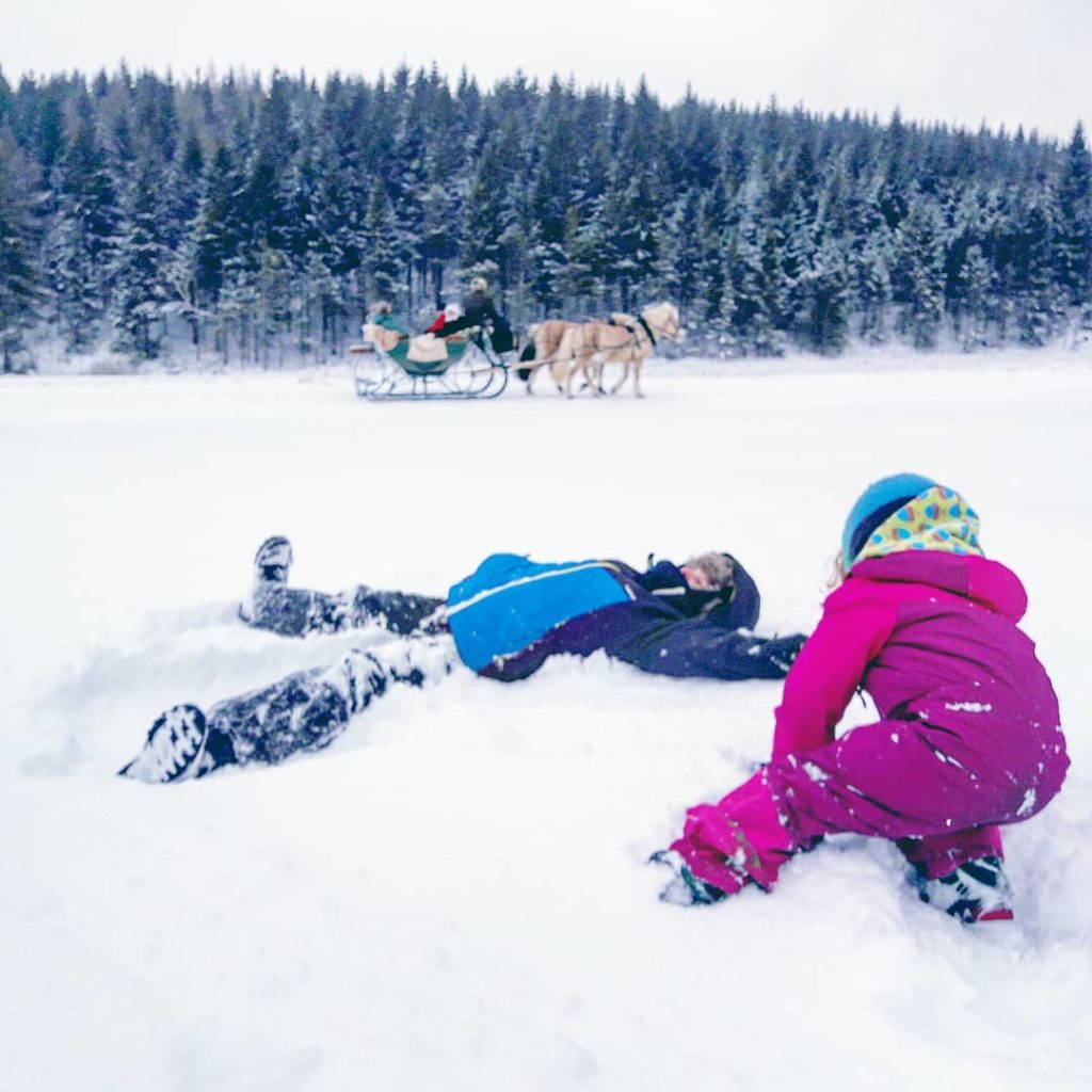 Winterwald Erzgebirge