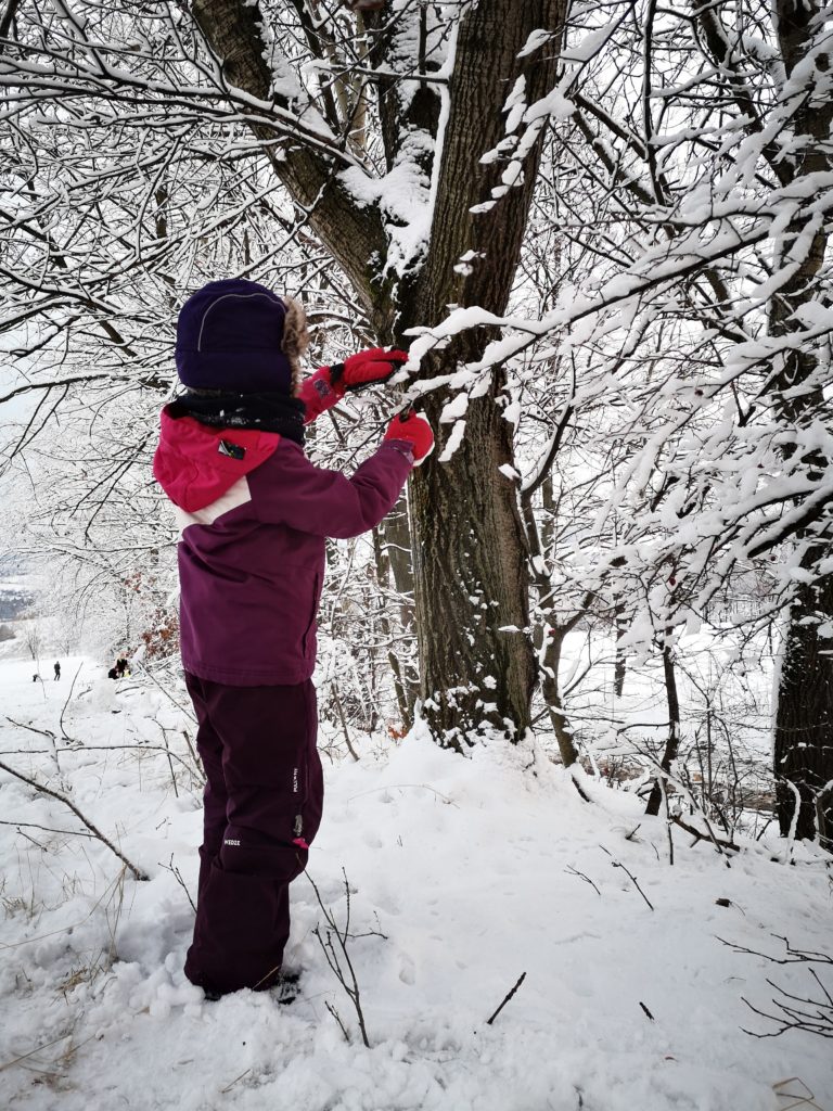 Winterwald mit Kindern