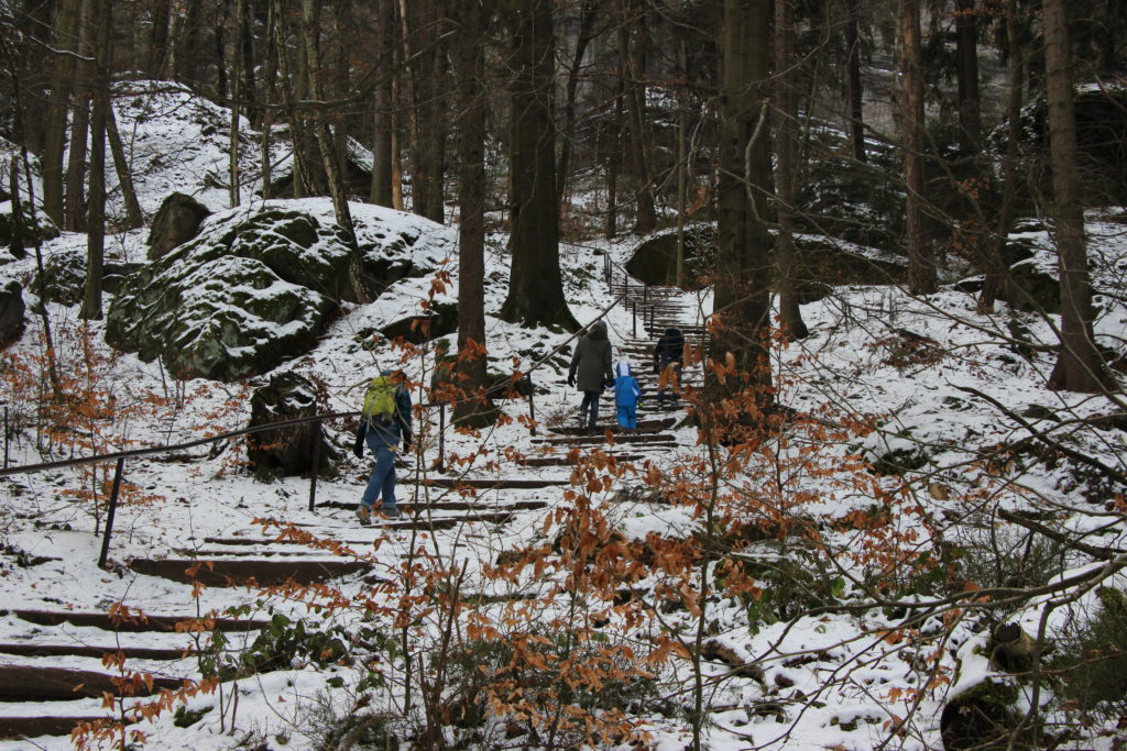 Pfaffenstein Sächsische Schweiz im Winter