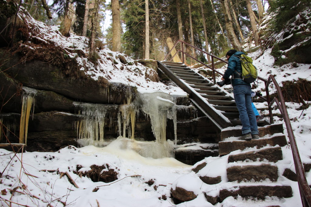 Pfaffenstein Sächsische Schweiz im Winter