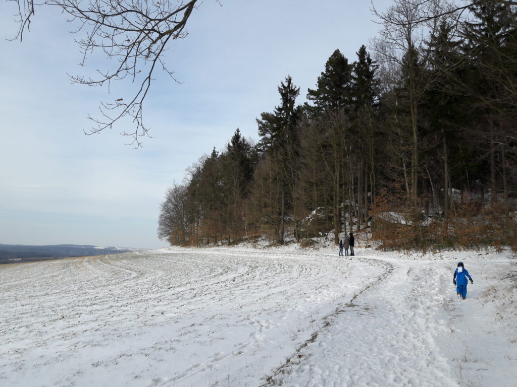 Pfaffenstein Sächsische Schweiz im Winter