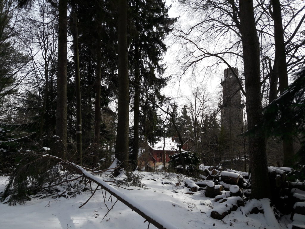 Pfaffenstein Sächsische Schweiz im Winter