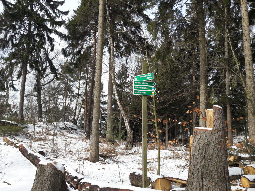 Pfaffenstein Sächsische Schweiz im Winter