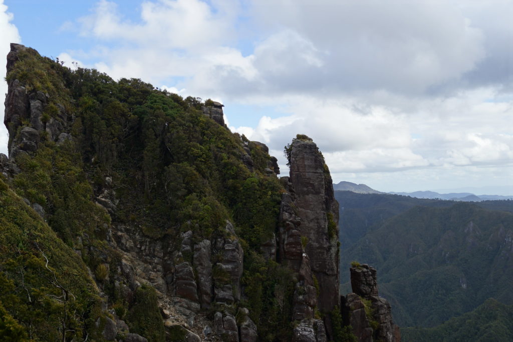 Coromandel Pinnacles