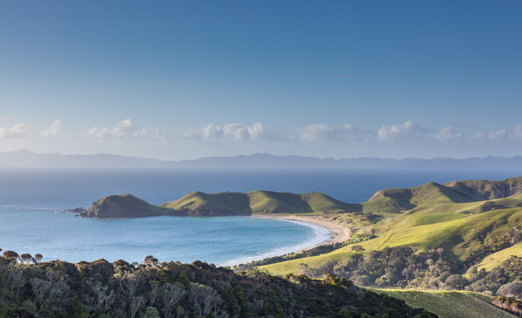 Coromandel Fletcher Bay 