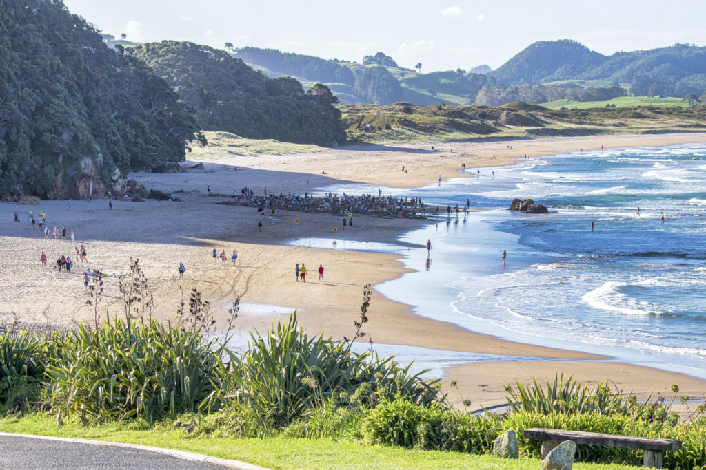 Coromandel Peninsula: good for your soul 4