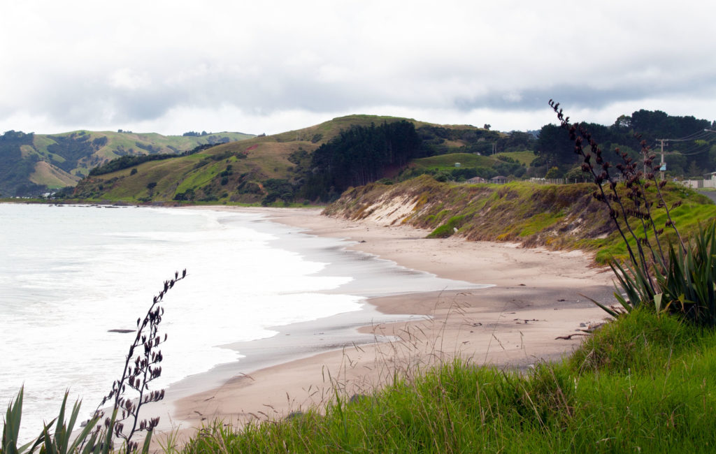 Coromandel Peninsula