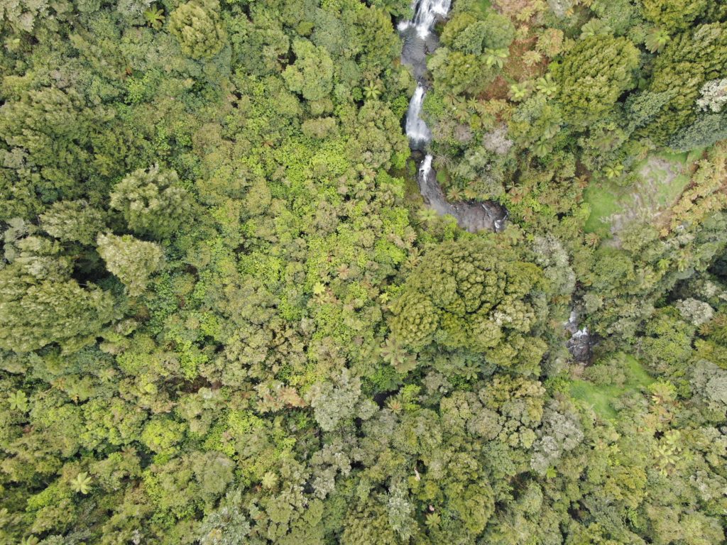 Drohne in Neuseeland