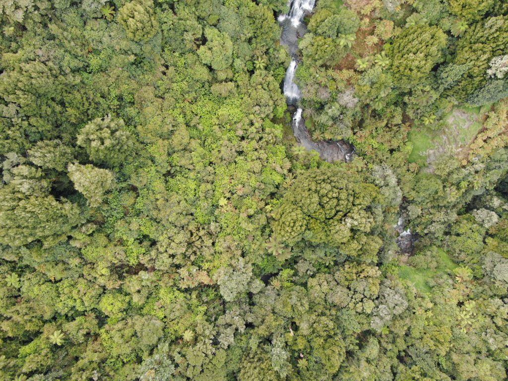 Wie ihr eine Drohne in Neuseeland benutzt (legal!) 21 Drohne in Neuseeland